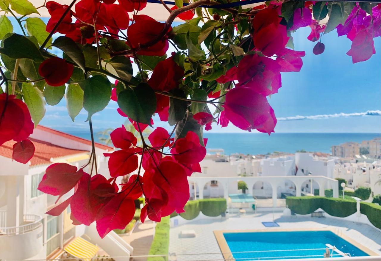 טורבייחה Seaview La Mata Pool&Beach מראה חיצוני תמונה